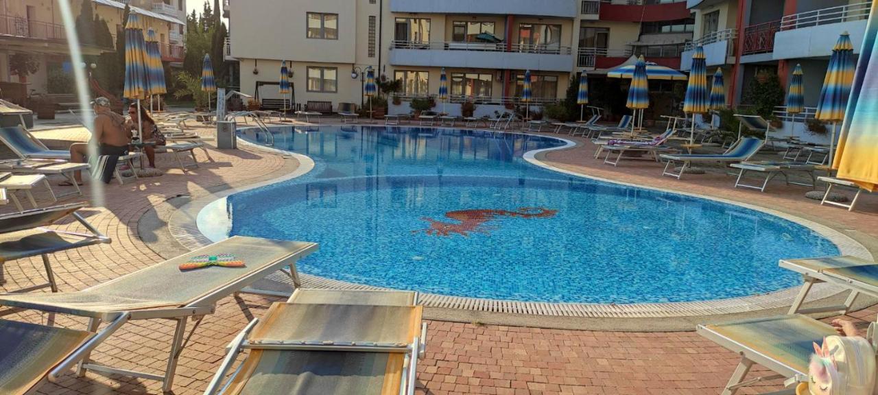 Apartment Plaza - - Sunny